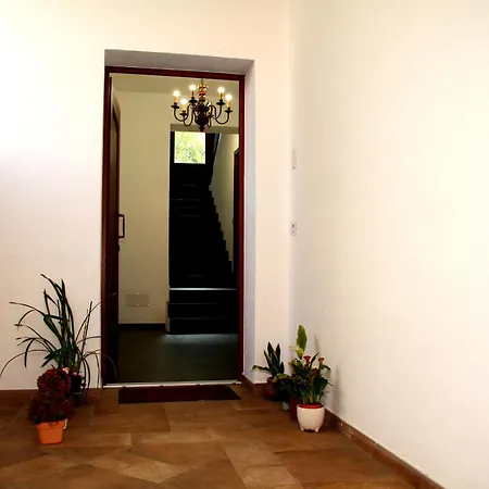 Central Dorgali Guest House 招待所 多尔加利