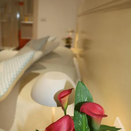 招待所 Central Dorgali Guest House
